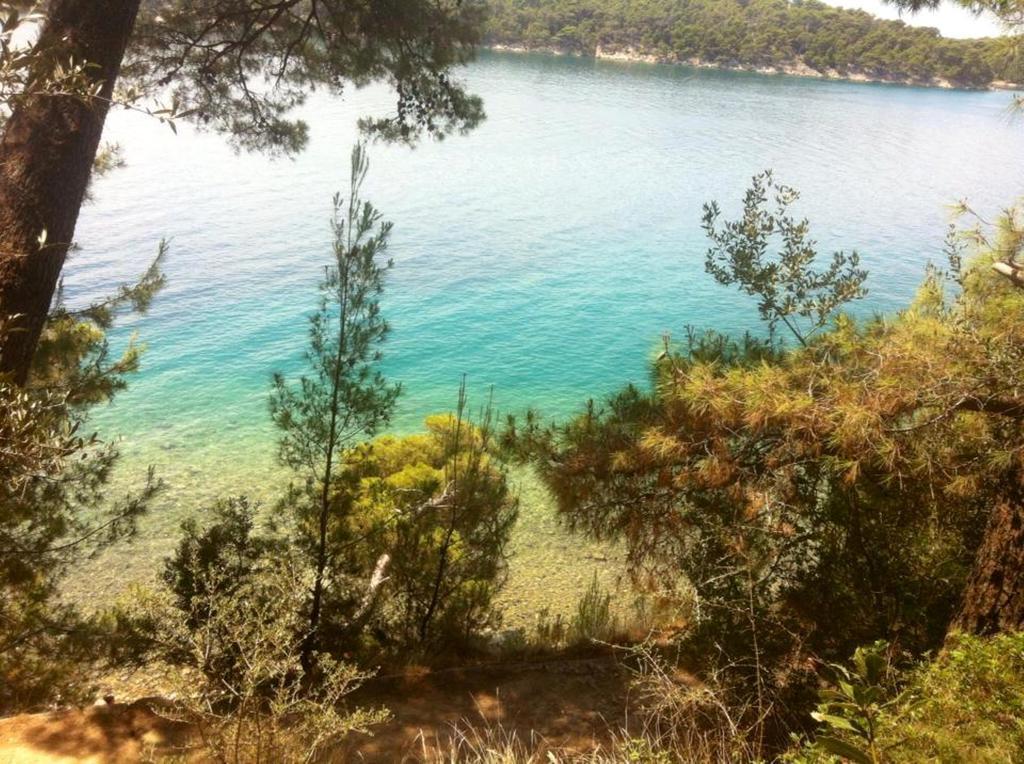 Evergreen & Pinky Apartments Close To The Beach Rab Town Exterior foto